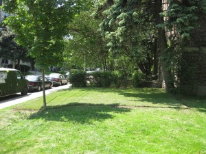 Sodding (lawn installation) Toronto '10