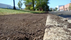 Grow max soil - best for sodding Grow max soil - best for sodding