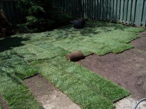 sodding lawn installation in progress north york sodding lawn installation in progress north york
