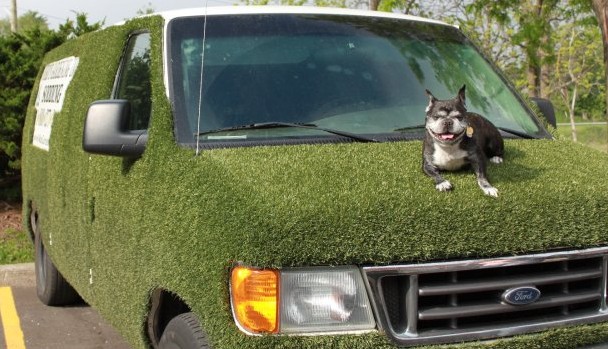 Grass Van, turf van grass van, turf van