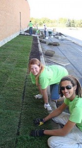 Team at work @ Niko's Gardening