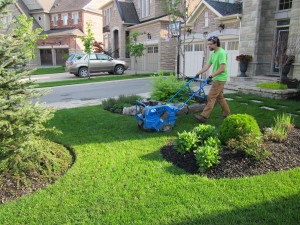 Niko's spring clean up - Aeration Thornhill Woods ON