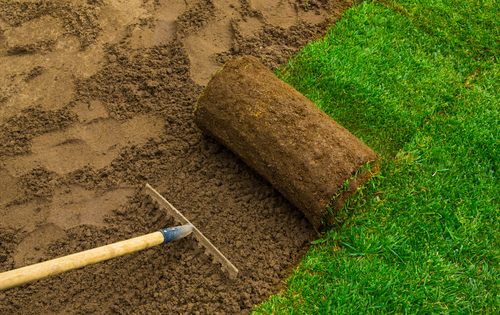 benefits of lawn aeration
