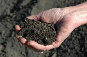 Grow Max soil cost