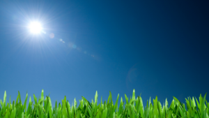 sun shining in blue sky over green grass
