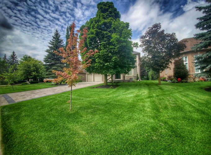 Sodding (Lawn Replacement)
