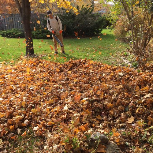 Yard Clean Up Services