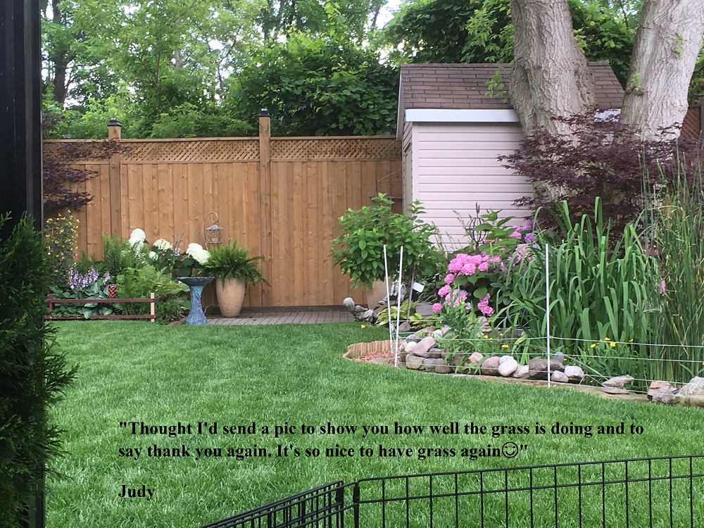 backyard sod installation services in Kleinburg