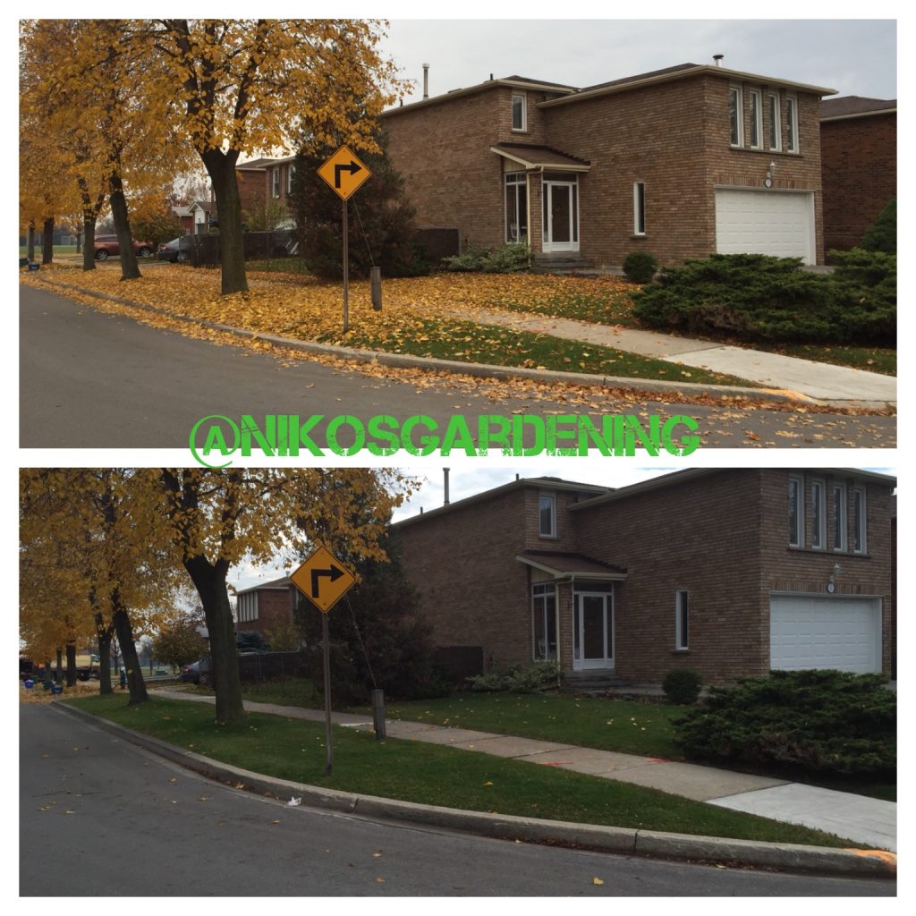 Fall clean up services before and after