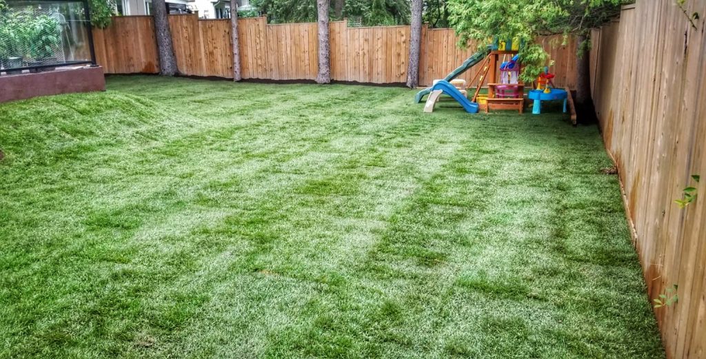 Sodding - the creation of a turf lawn what is the best time for sod installation