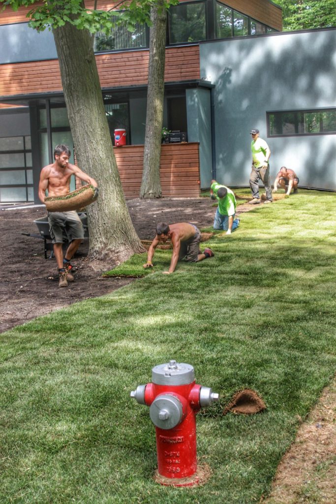 team Sodding in lawn