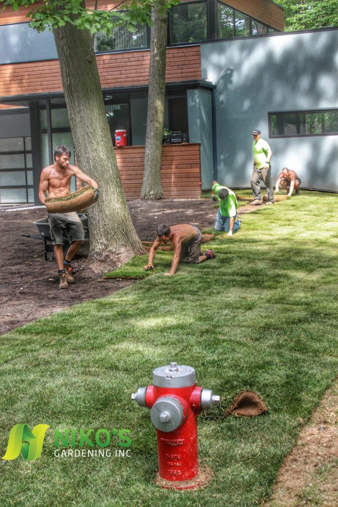 How We Lay Sod in Nobleton
