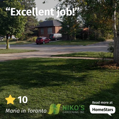 Sodding Toronto review