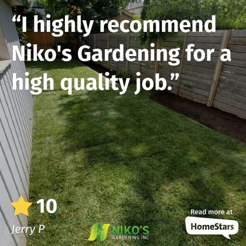 Sodding client review Brampton