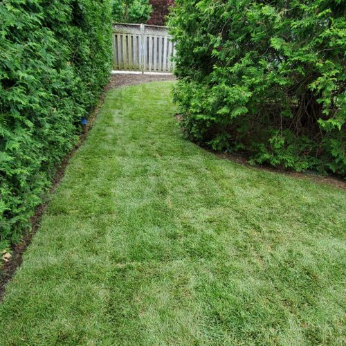Softscape Landscaping