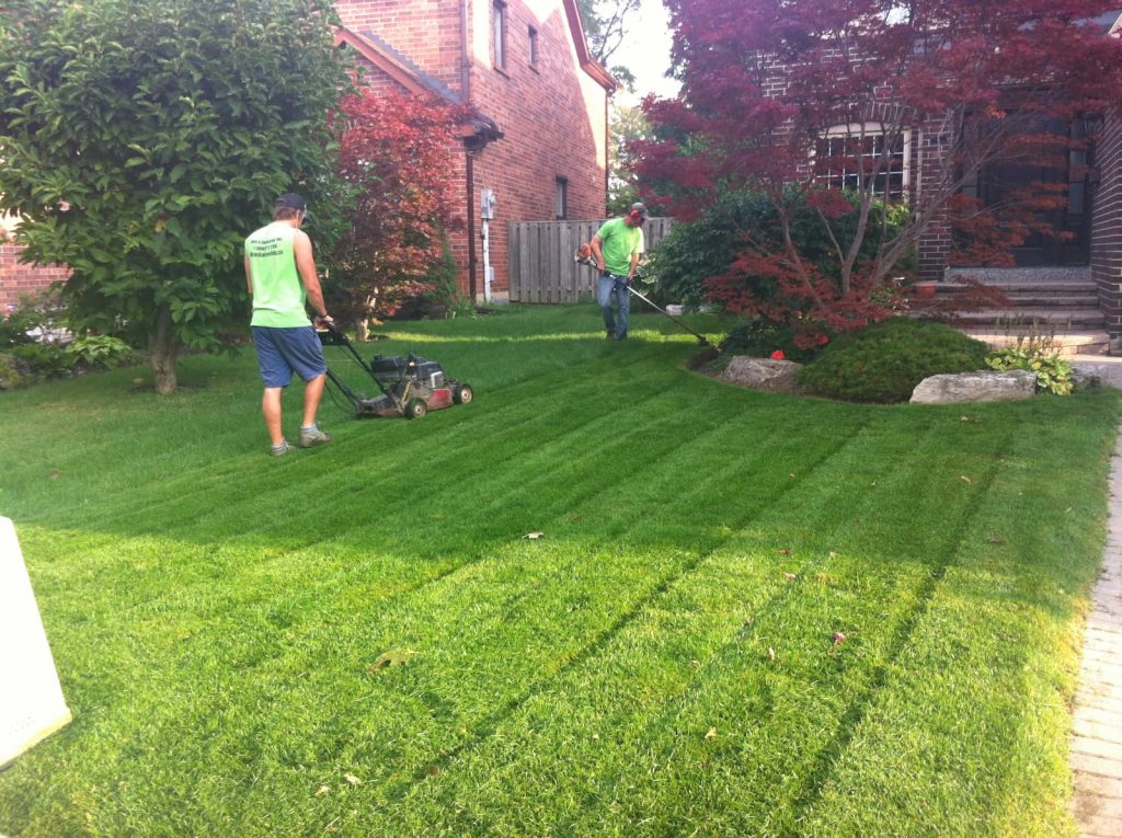 lawn care and maintenance toronto