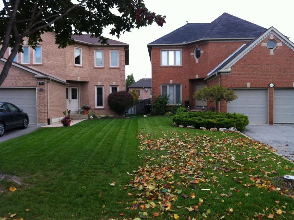 yard cleanup toronto