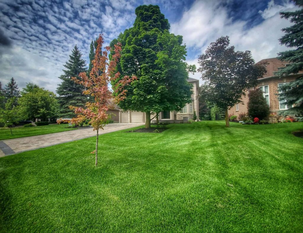 landscaping services toronto