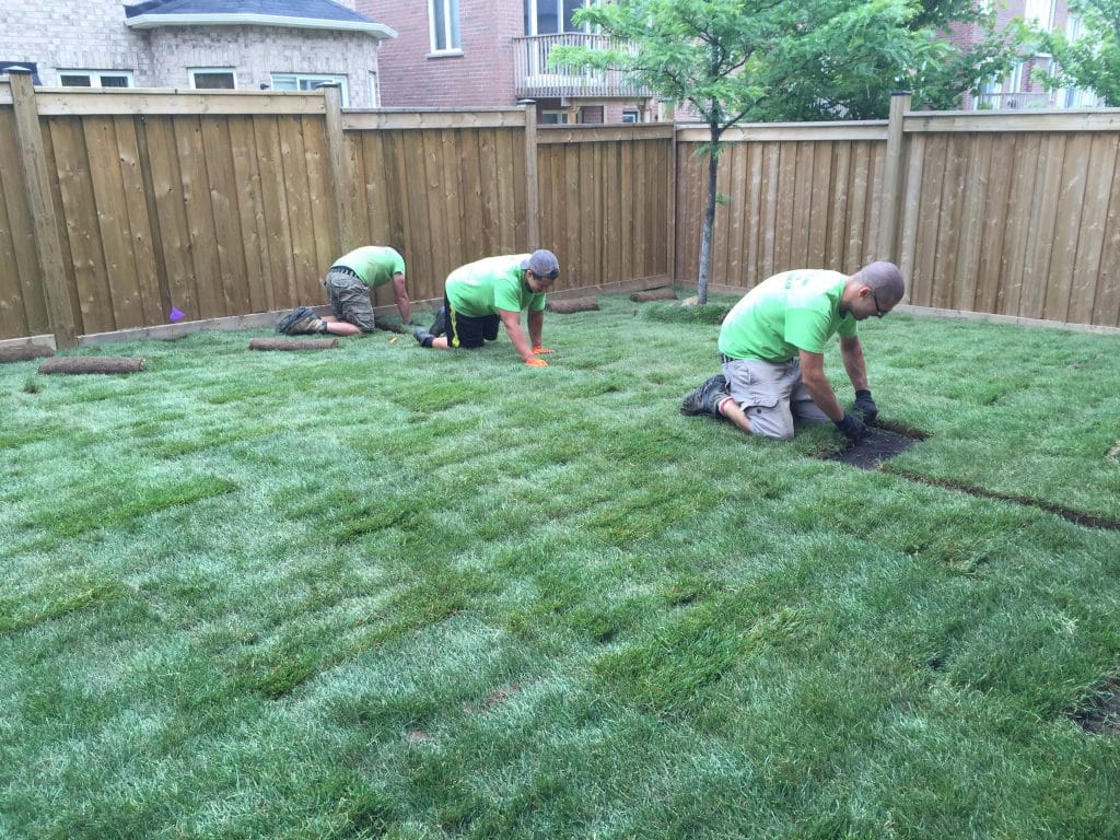 new sod installation Nobleton