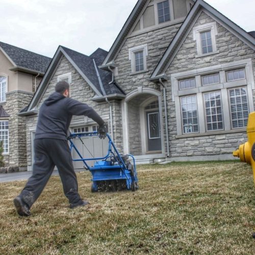 Lawn Aeration