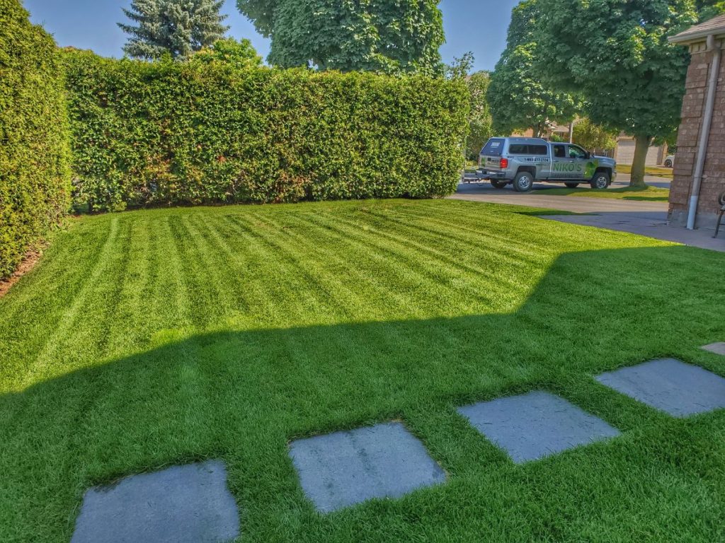 affordable sod installation toronto