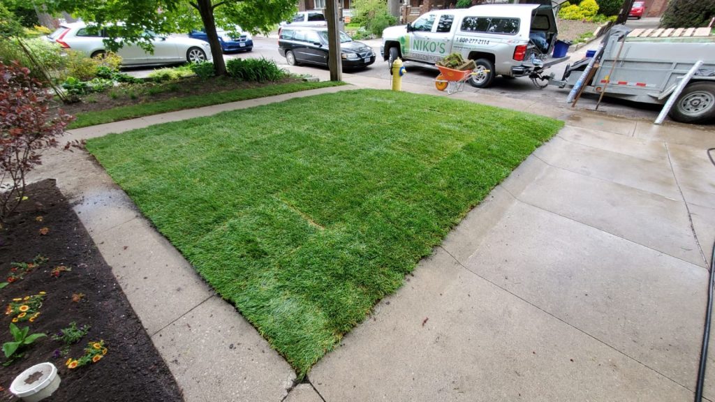 Lawn Replacement & Installation Services Ajax