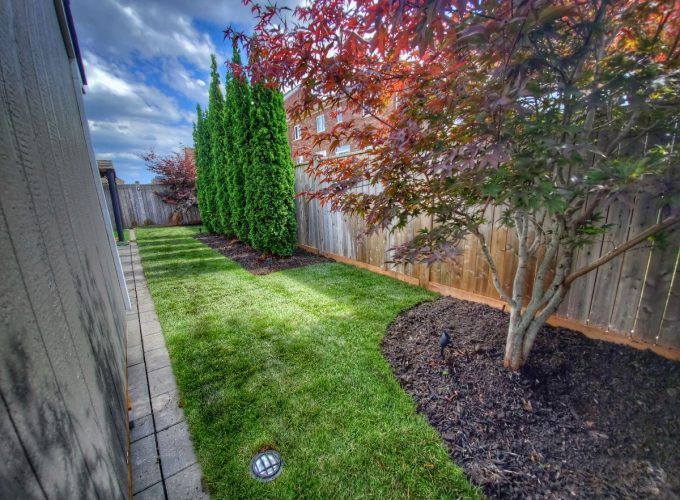 Landscape Design Scarborough