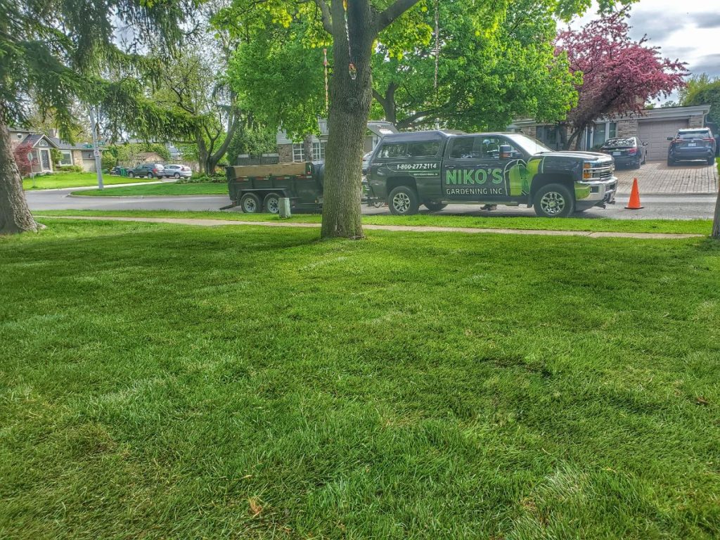 Residential Lawn Maintenance Vaughan