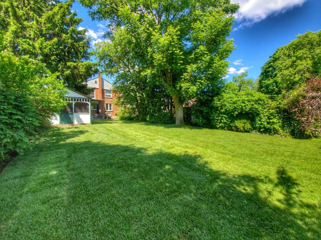 sodding installation newmarket